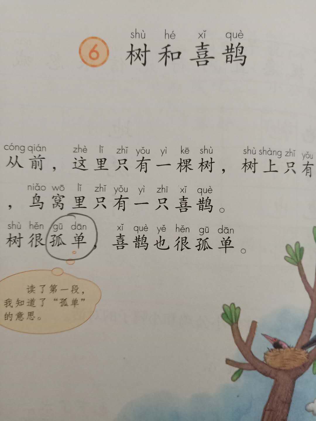 部编版一年级下语文三单元小卷,部编一年级下册第三单元重点知识