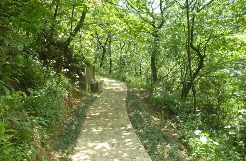 爬完所有雪山就释怀,爬完所有的名山