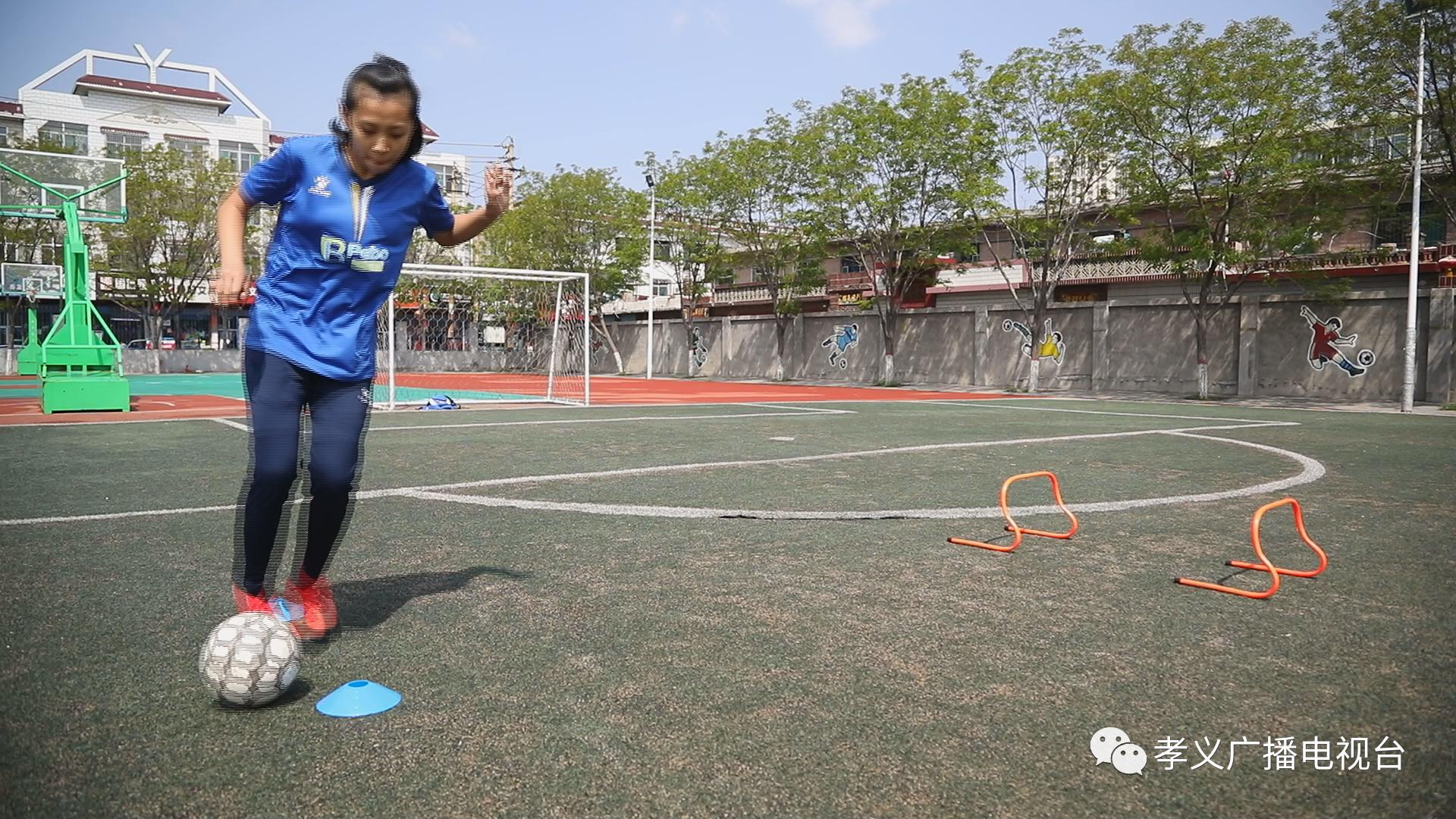 时晨阳资料,时晨阳哪里人