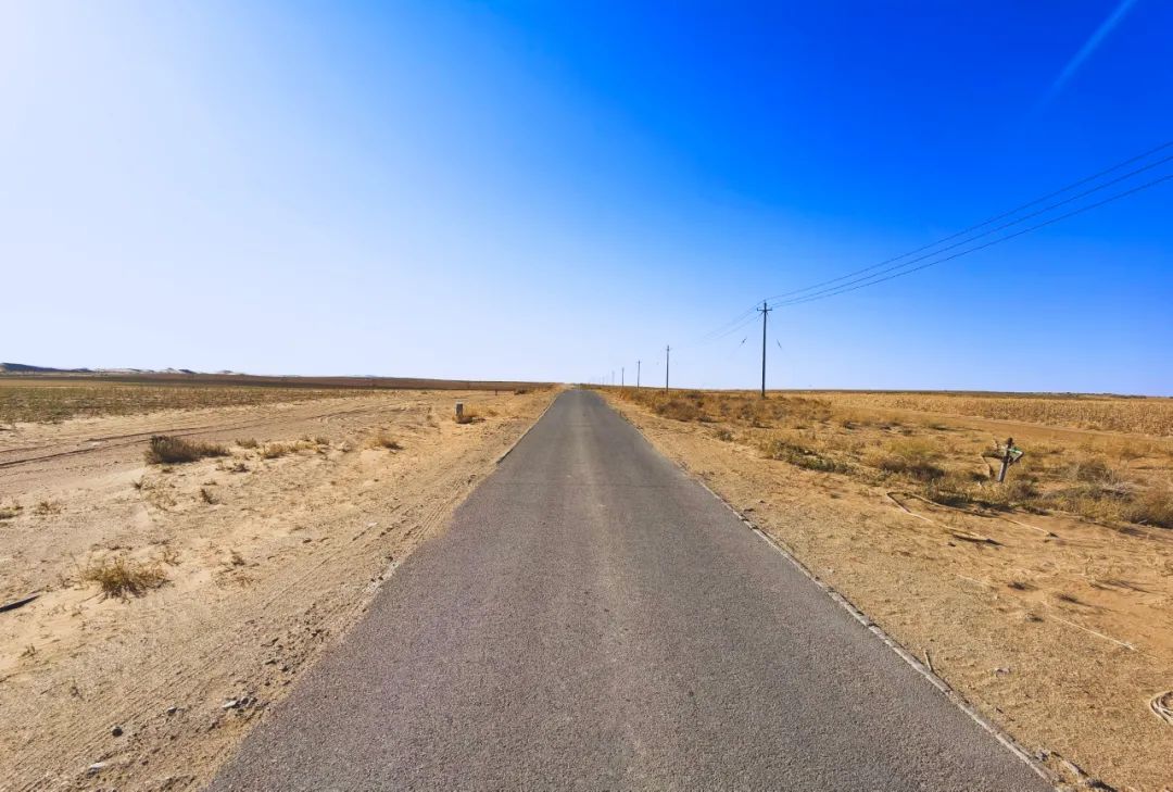 中国大沙漠的淘金客：*子骗**、教授与巨头