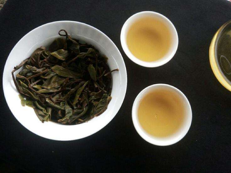 新手怎么选购普洱茶饼好,普洱茶怎么选购才好