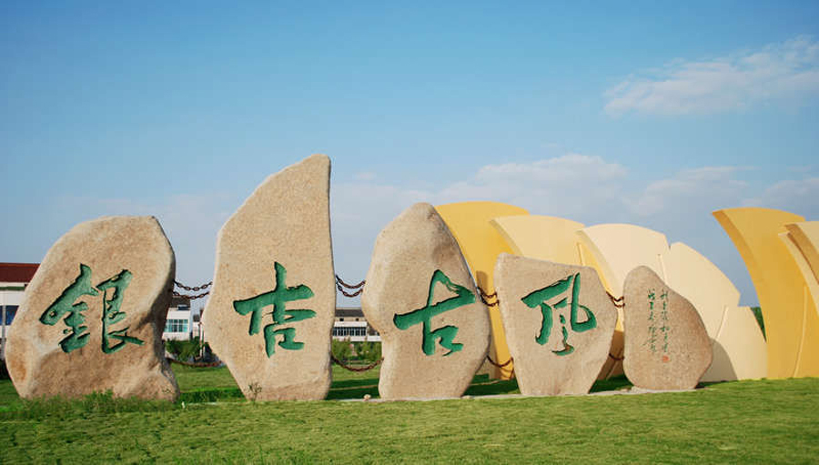 江苏泰兴市最小的镇，紧邻泰州高港区，拥有古银杏森林公园