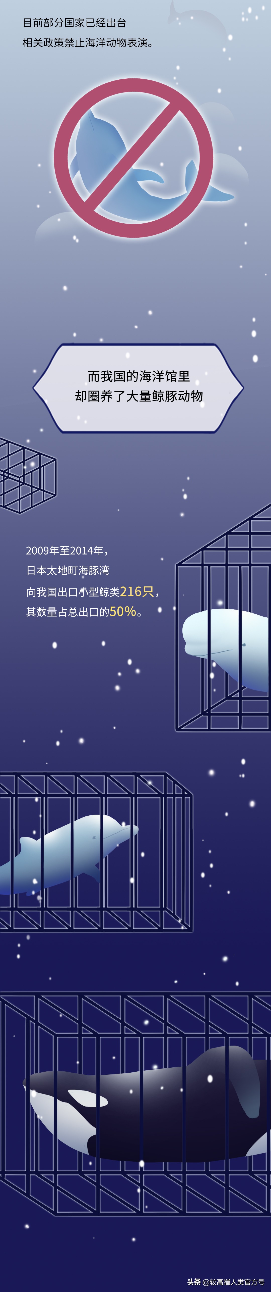 囚禁海豚,海豚表演有多残忍