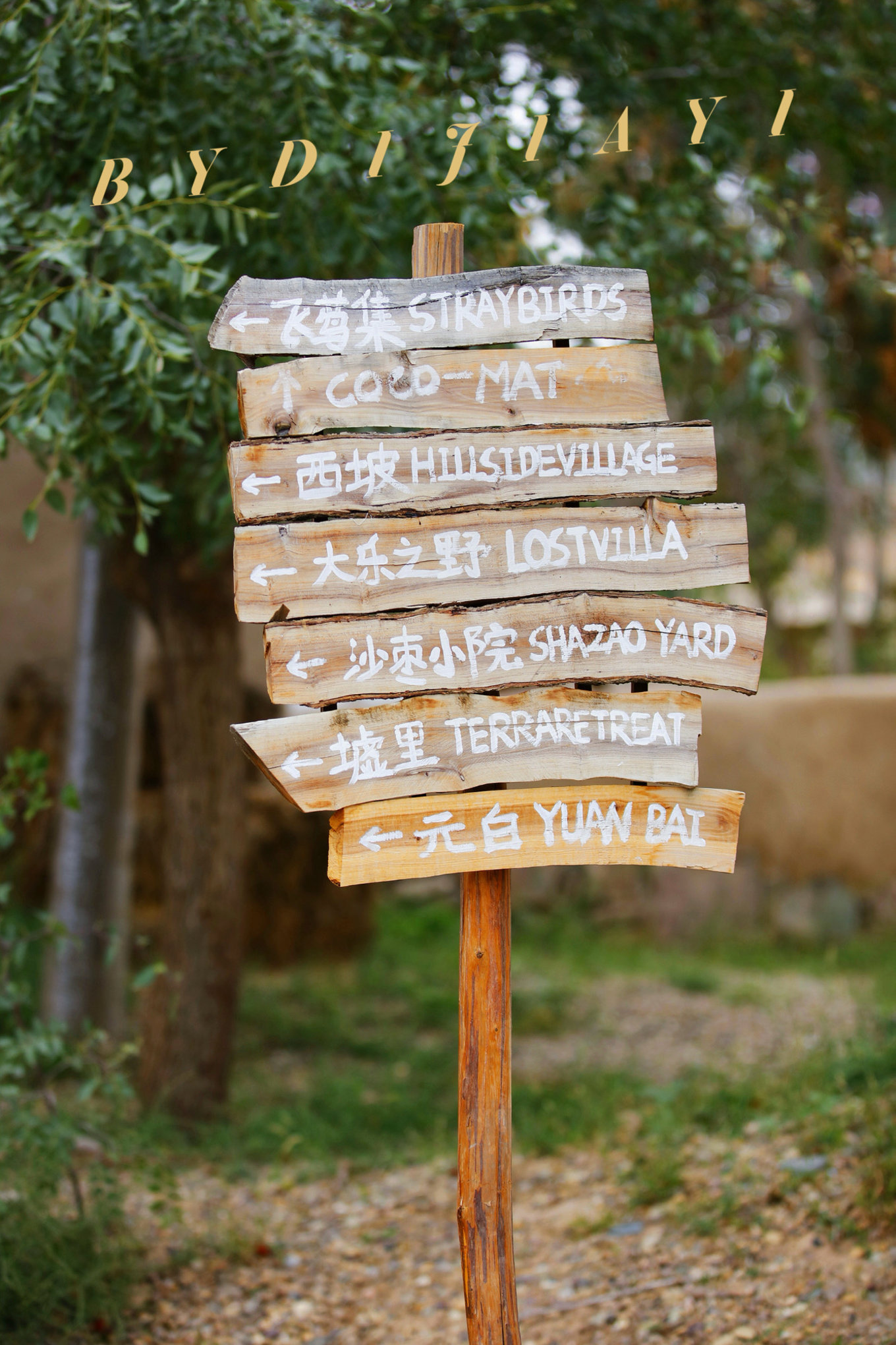 宁夏国庆节自驾出游推荐,宁夏旅游打卡攻略