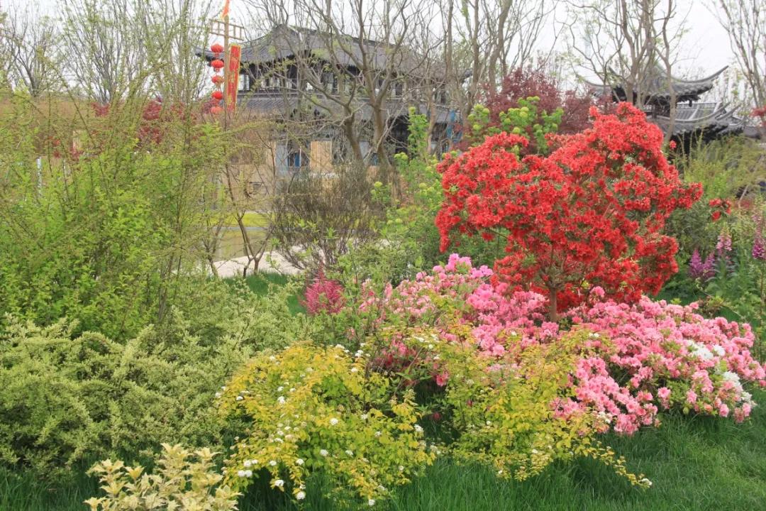 花展的意义,花展布展情况介绍