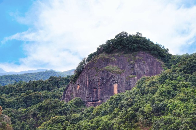 梅州采茶,梅州采茶体验