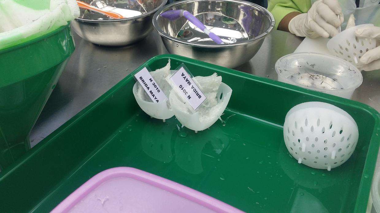 认识燕窝,带你走进神奇的燕窝世界