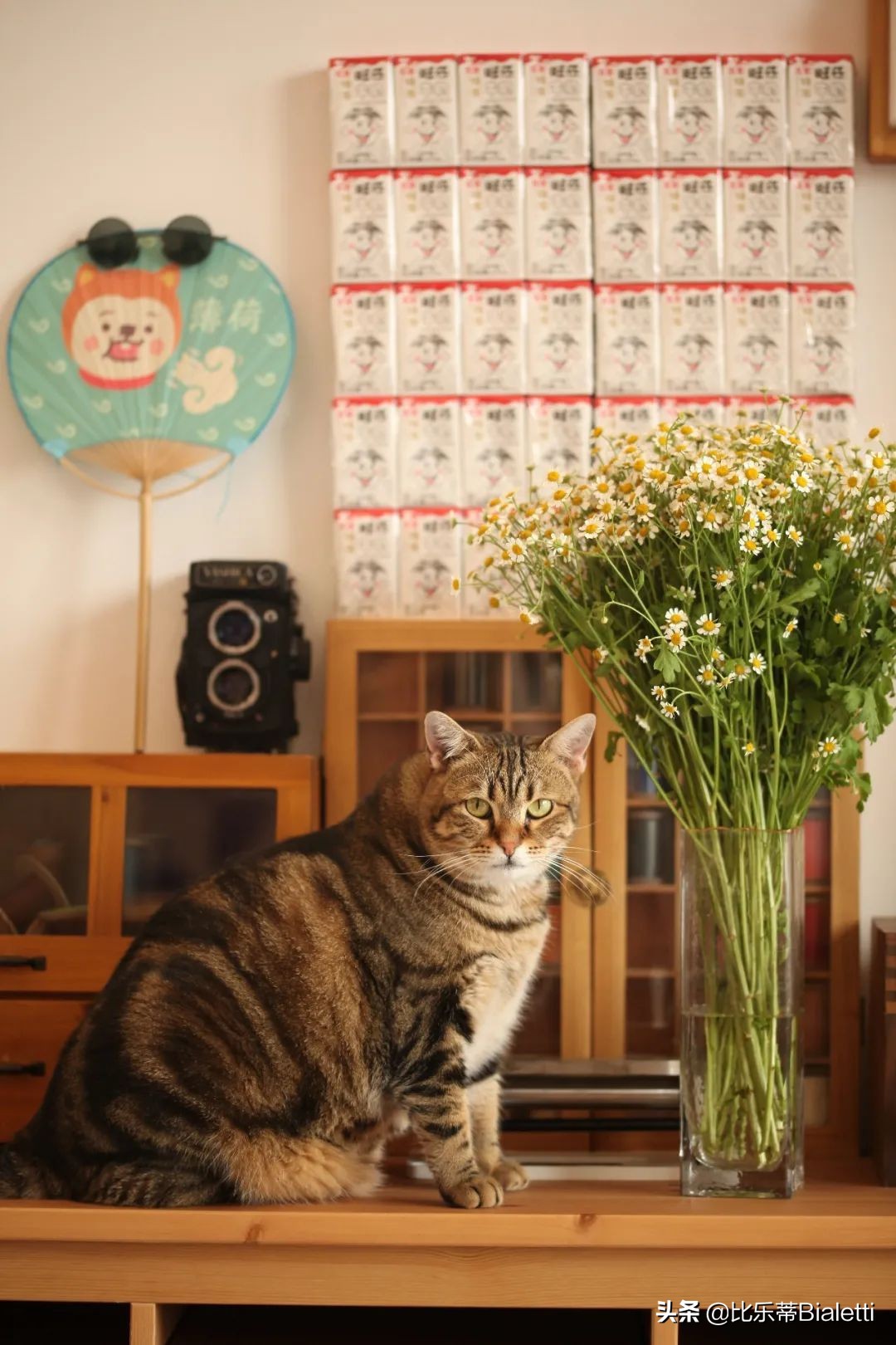 从小白到大神，“手工白”如何玩转摩卡壶？