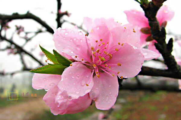 中考名著导读与精练,中考名著阅读全册