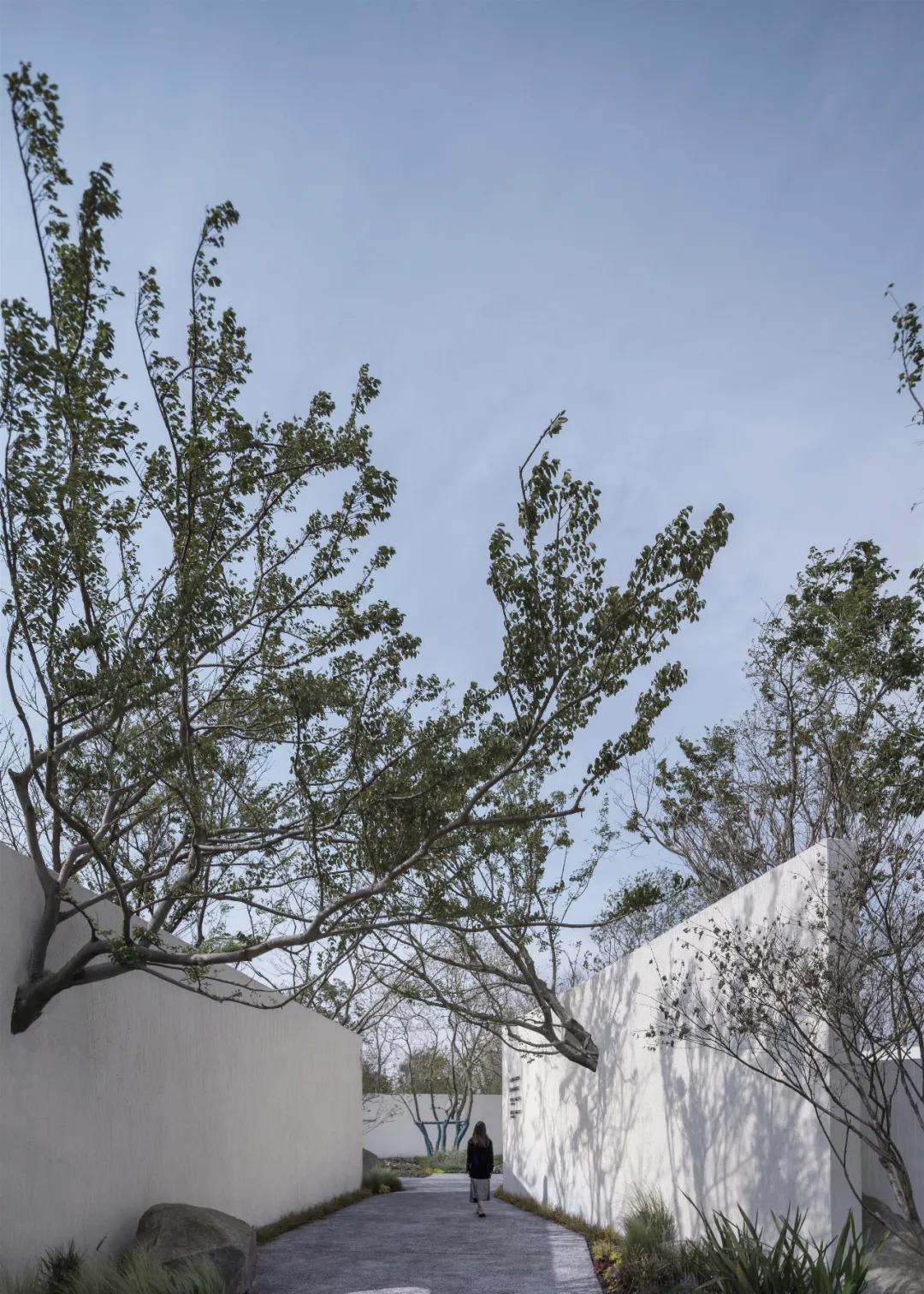 湖畔边的静寂之美——龙湖·抚仙湖星空小镇山顶度假美学馆