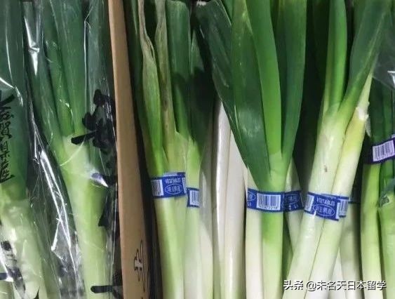 日本人常吃的便当到底是什么东东?