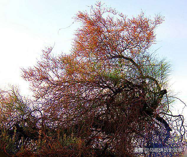 娣囧幙瀵掓硥鏅偣,娣囧幙鏈濇瓕瀵掓硥鍦板潃