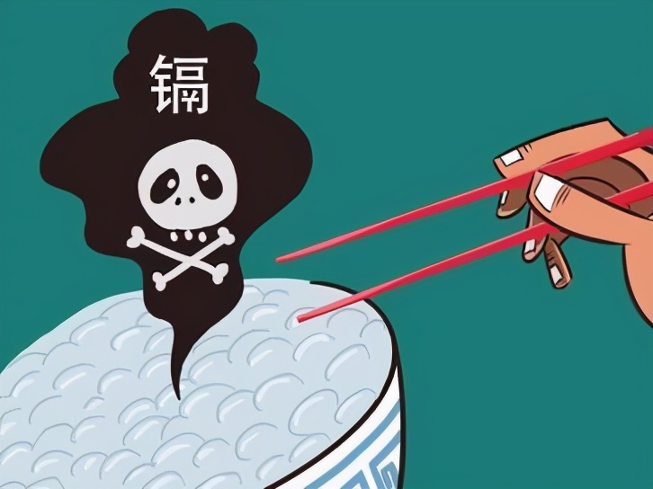 舌尖上的安全感悟,舌尖上的安全全册