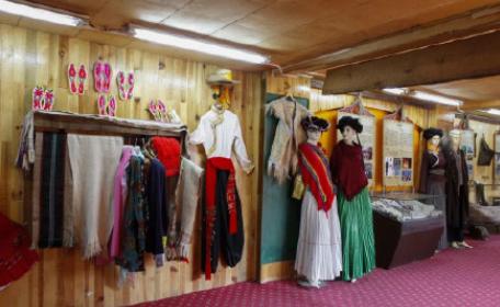 昆明动物博物馆免费开放时间,昆明博物馆和云南博物馆哪个好