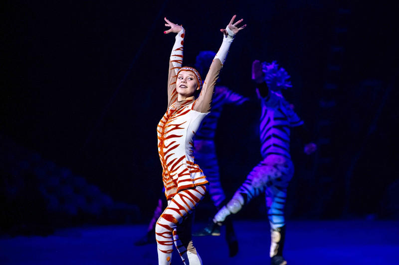 广州长隆野生动物世界的游玩攻略,广州长隆野生动物世界一日游回顾