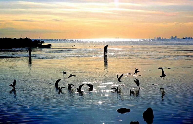 北戴河取景,北戴河适合摄影的地方