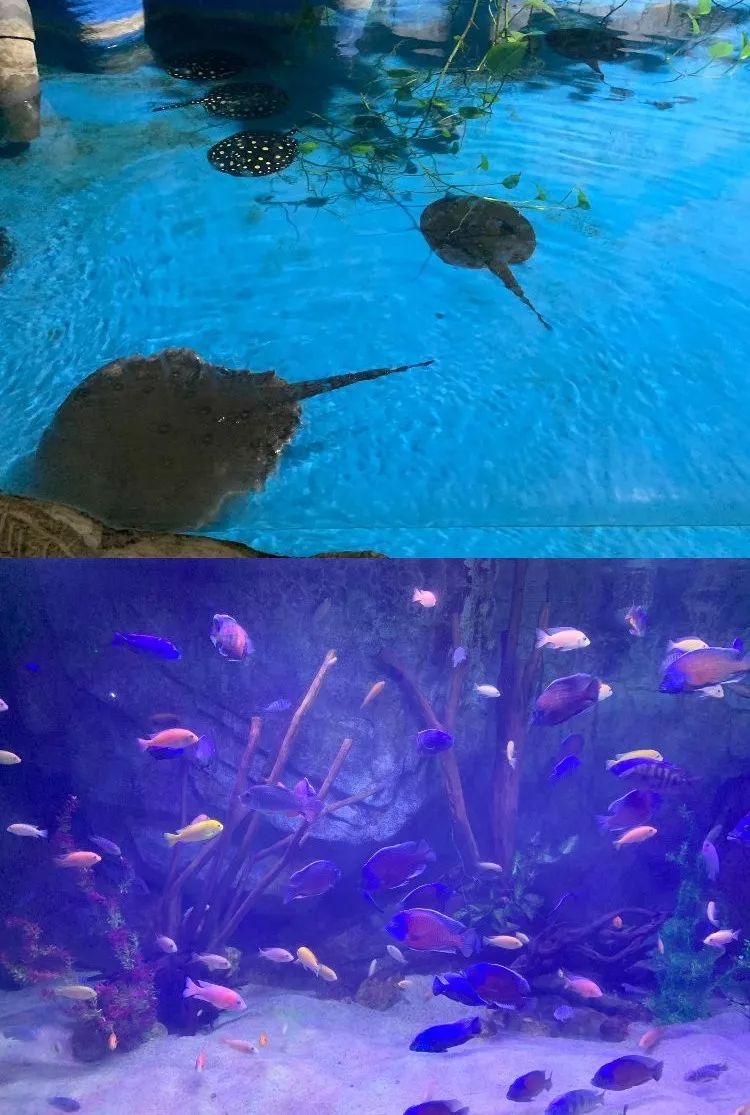 山东百强县2021年排名,山东2021百强县排名榜