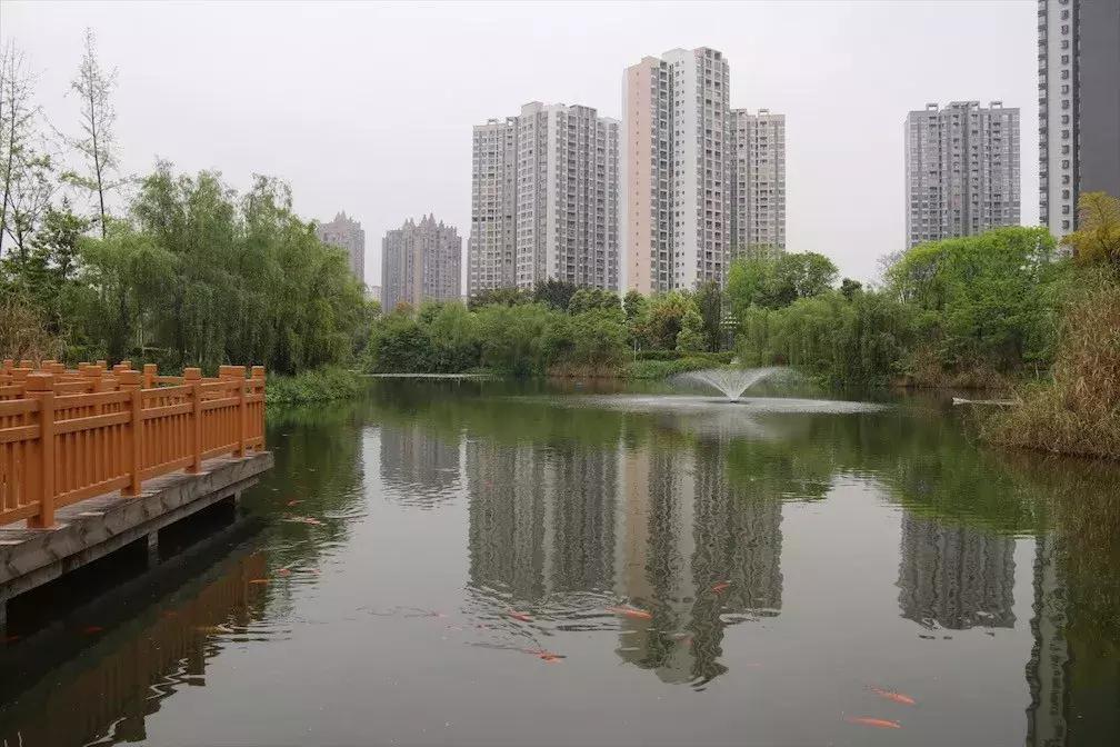 探秘北京大学食堂,四川探秘大学食堂