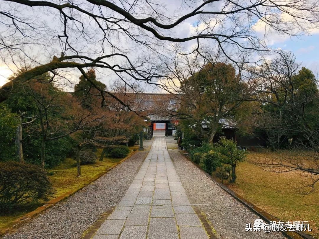 日本大阪京都自由行攻略大全,大阪京都奈良旅游攻略自由行