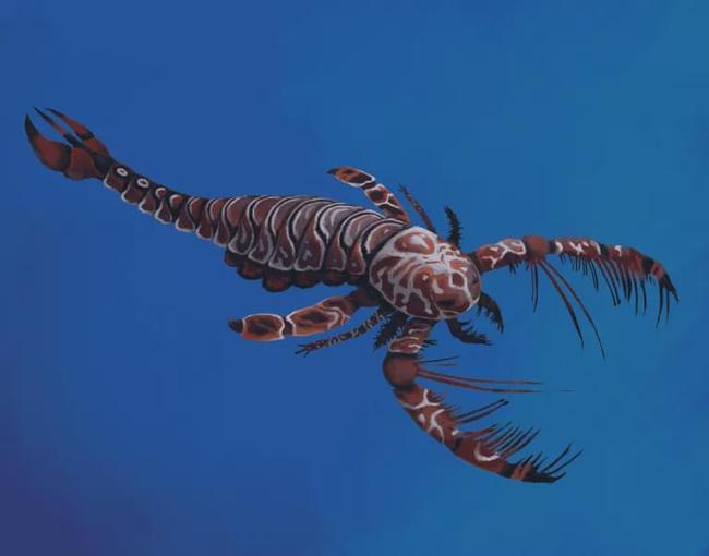 邓氏鱼怎么灭亡,邓氏鱼用什么驯服