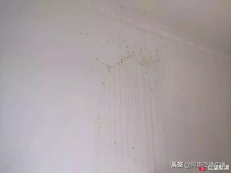 房子租给年轻人的后果,房子租给单身小伙一年多