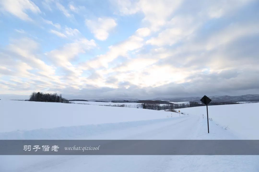 日本10天自由行费用北海道,东京北海道5日自由行攻略