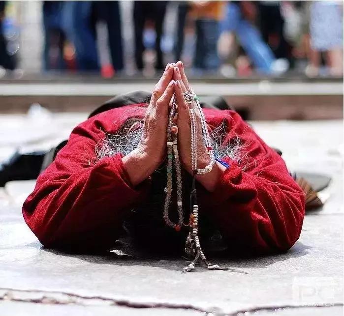 佛教合十礼的正确手势图片,佛教六大常识