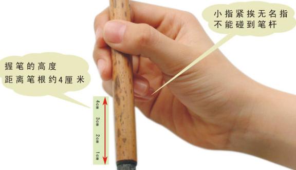 毛笔书法握笔姿势教学视频,毛笔的握笔姿势视频免费观看