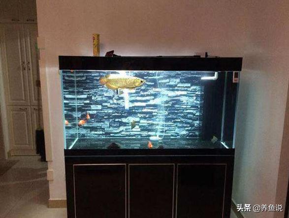 打造大型空气鱼缸,打造空气鱼缸三步走
