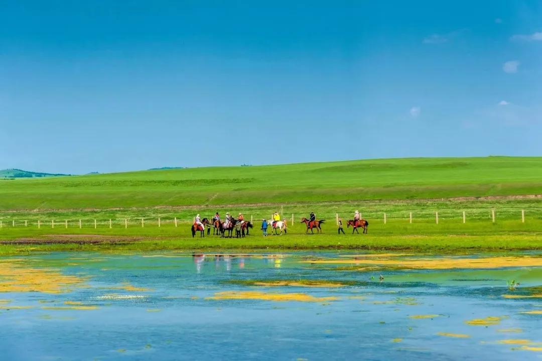 创始人笔记6|青年律师，你该如何选择律所呢？