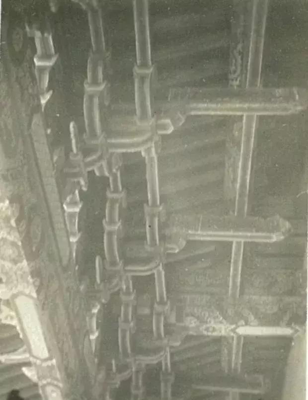 你可能没见过的姓氏,你可能没见过的日语