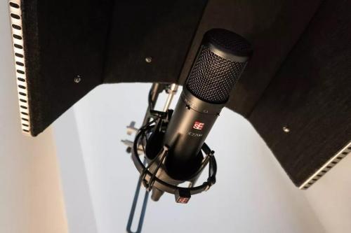 入门级专业录音麦克风,高端音响正品麦克风