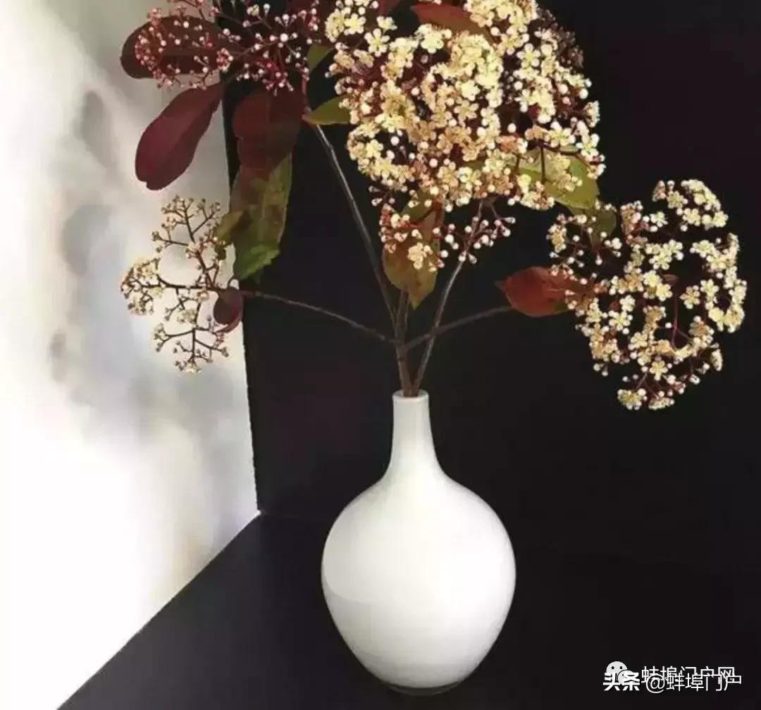 蚌埠各小区这种散发着精液味道的花你知道名字嘛