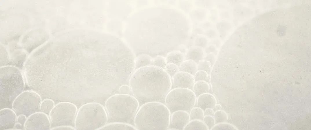 抗皱紧致抗衰二裂酵母,二裂酵母抗衰精华