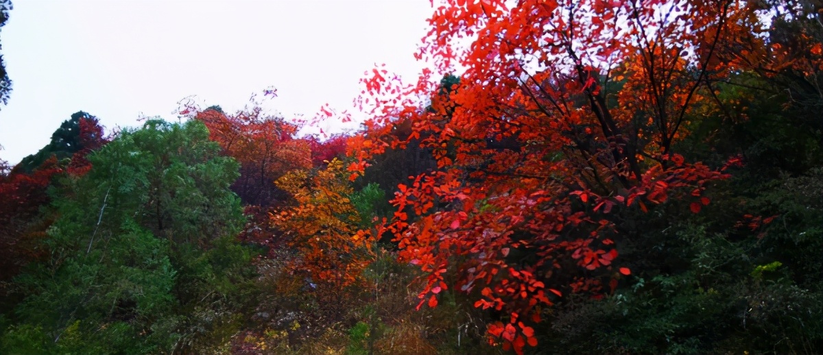 自由光2.0t驾驶感受,18年自由光2.4车主真实感受