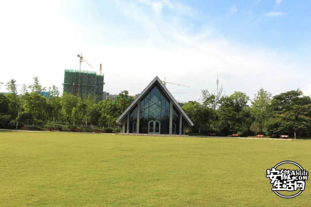 庐阳老城内藏着一处最大的综合性森林公园，人少景美，关键还免费