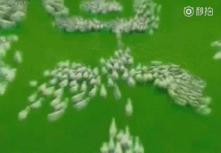 盘点十五条超经典电视广告,盘点15条90年代经典电视广告