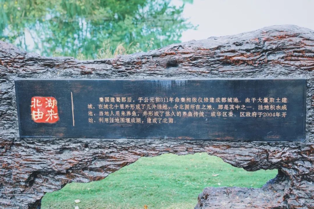 成都周末遛娃游推荐,遛狗公园成都