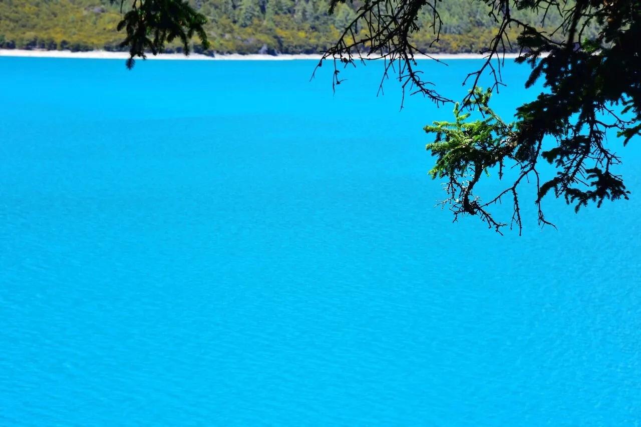 中国唯一不收费的高速公路,中国旅游风景最好的四条高速