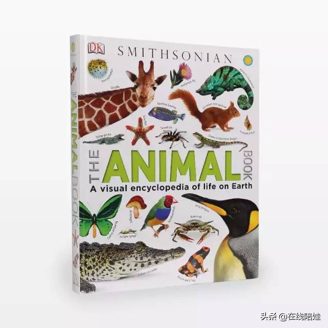 dk知识大百科全套,dk知识大百科书金银版