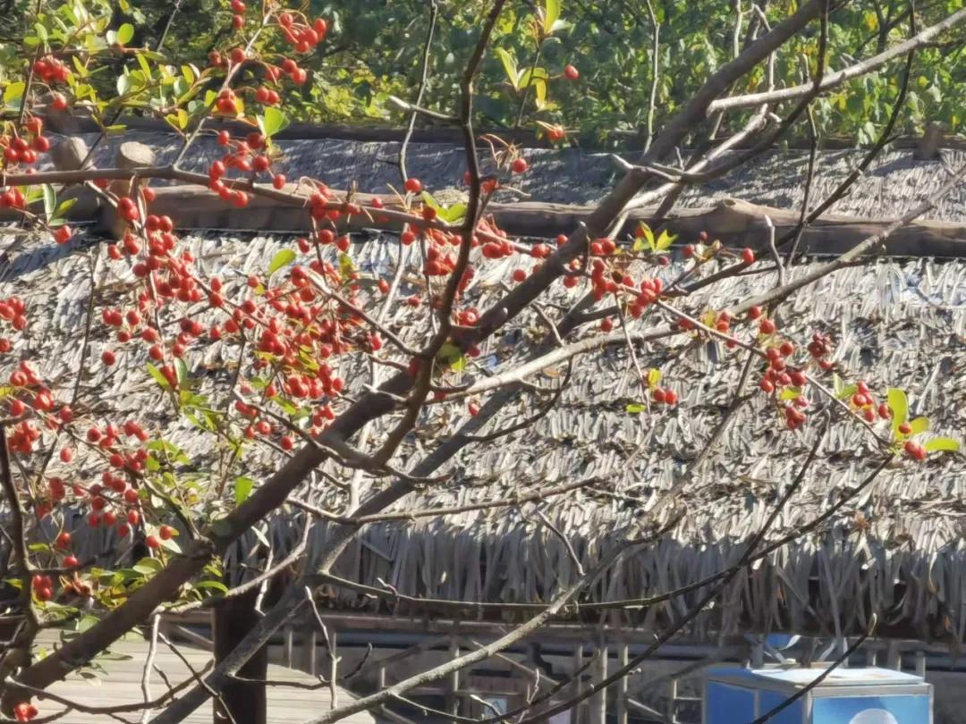 行走｜物华天宝宝华山