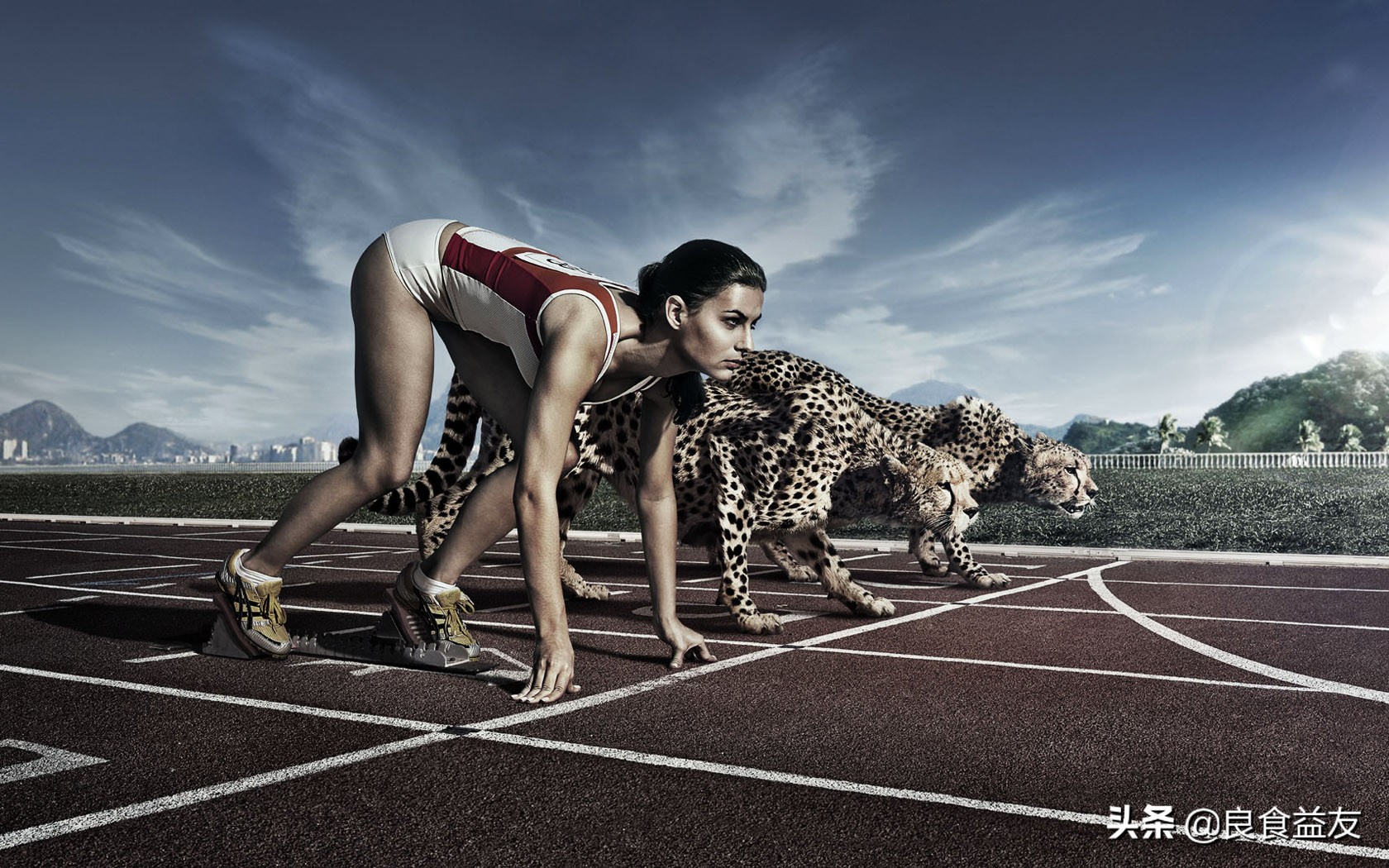 心灵鸡汤虽好却不适合所有人,心灵的鸡汤下一句