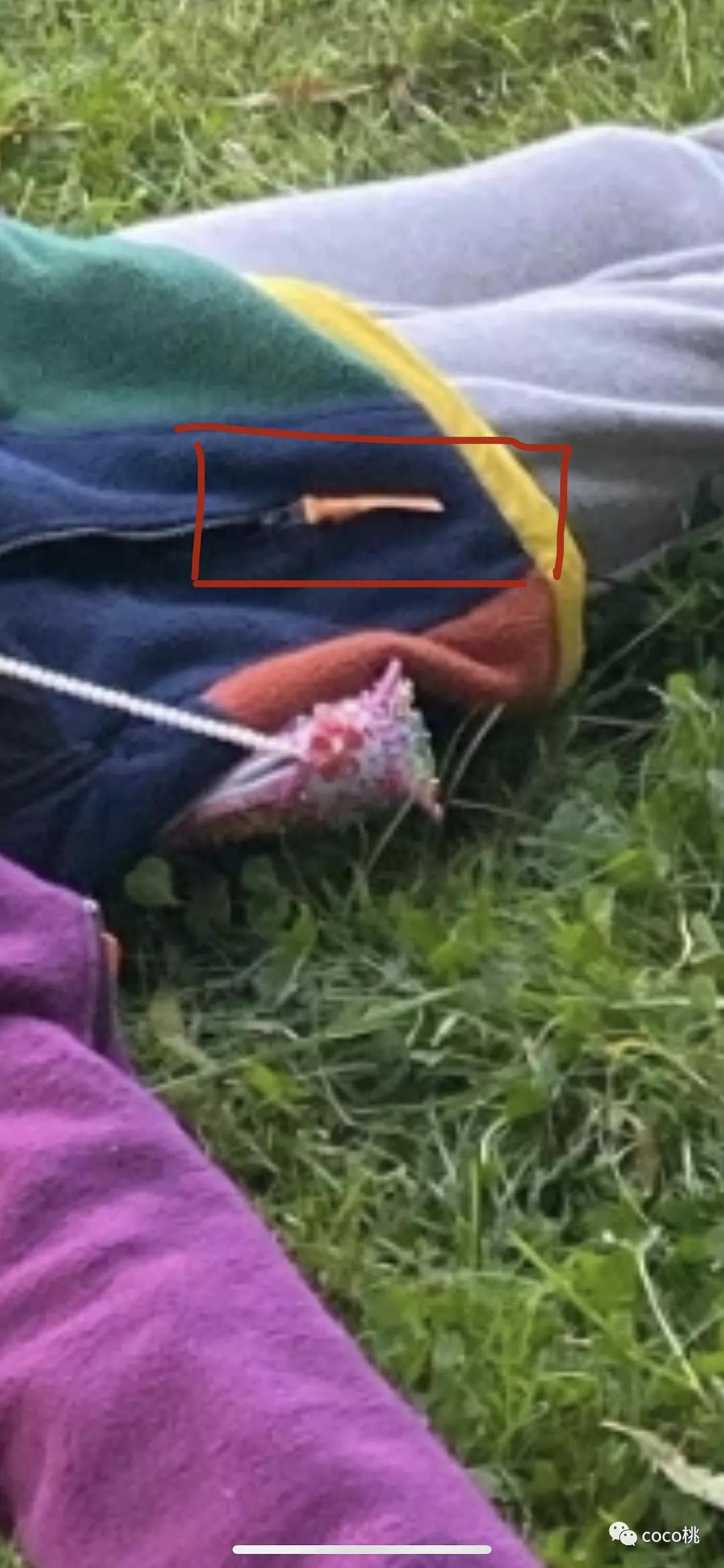 上综艺被骂得最惨的女网红,上综艺被骂得最惨的女明星