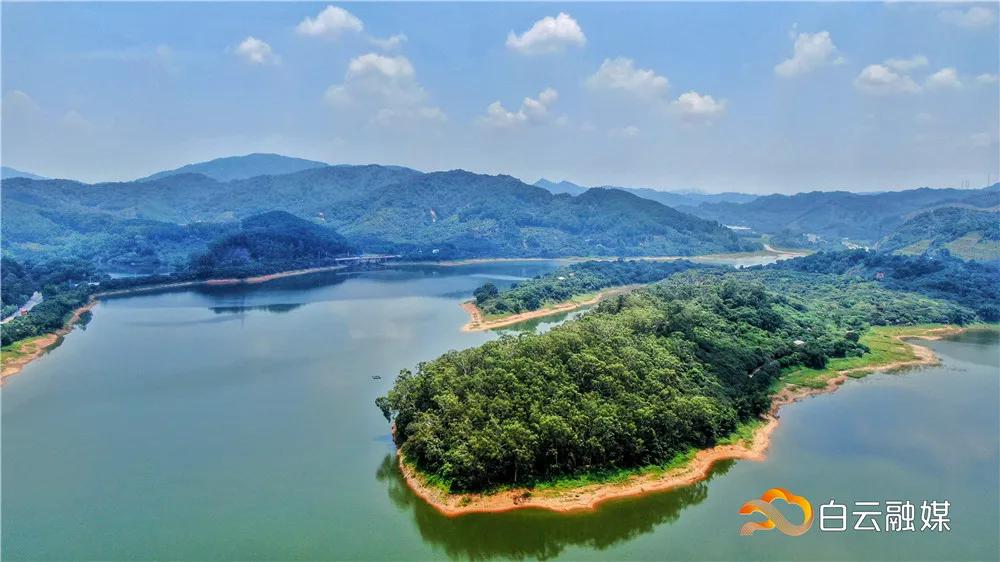 安徽太和发展前景,未来广阔的发展前景