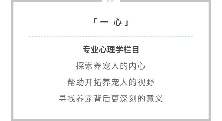 一心|猫能改善你的抑郁症吗？