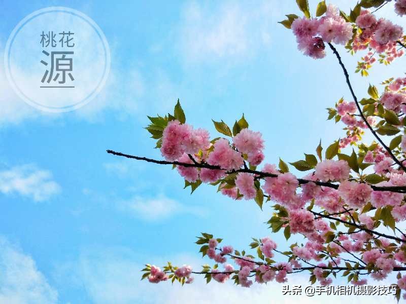 照片偏黄怎么调回正常,怎么把一张偏黄的照片恢复正常