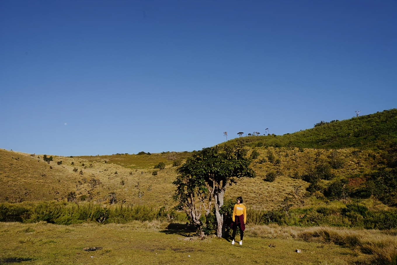 斯里兰卡攻略图片,攻略斯里兰卡旅游最省费用的路线