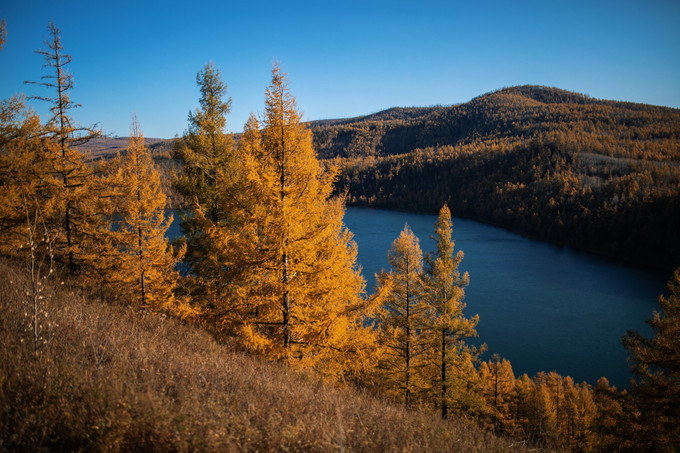 自驾呼伦贝尔|七千里路云和月,写给秋天和自己的故事