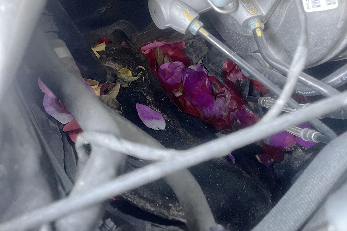 购买定制版劳斯莱斯过程 (劳斯莱斯车源套路)