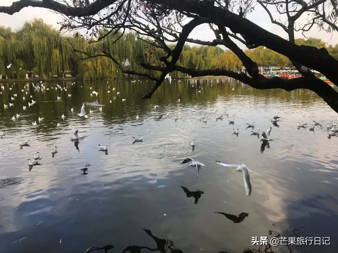 女孩子一个人去云南旅游三月份,一个女生去广州旅游